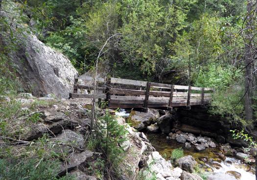 纽卡斯尔附近东麋鹿溪上的小木桥.